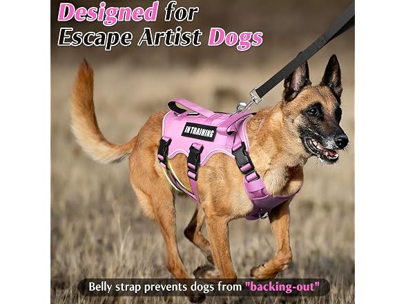 Winsee Escape Proof Service Dog Harness