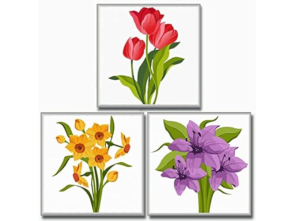 3 Pack Paint by Number Kits for Kids