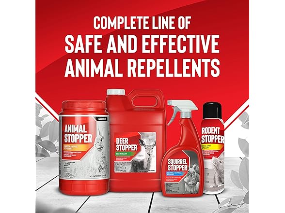 Messina Wildlife Squirrel Stopper, Liquid Animal Stopper