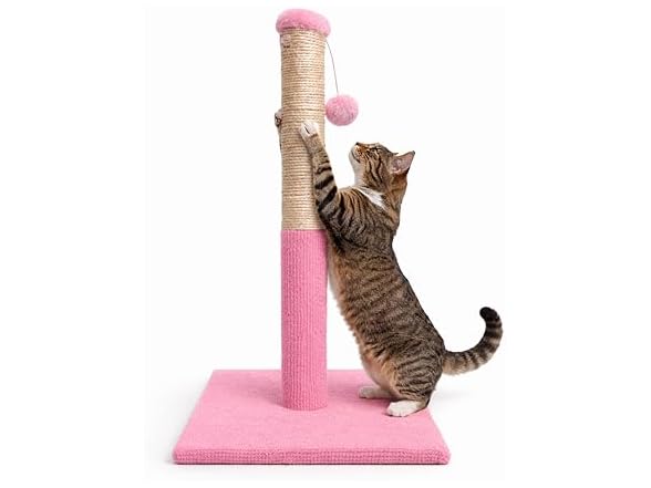 ASPCA Cat Scratching Post for Indoor Cats- Pink