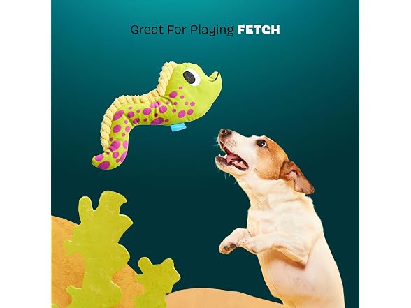 BarkBox BarkBox Maury EEL Plush Dog Toy