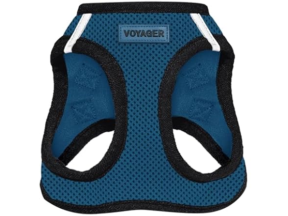 Blue/Black Trim