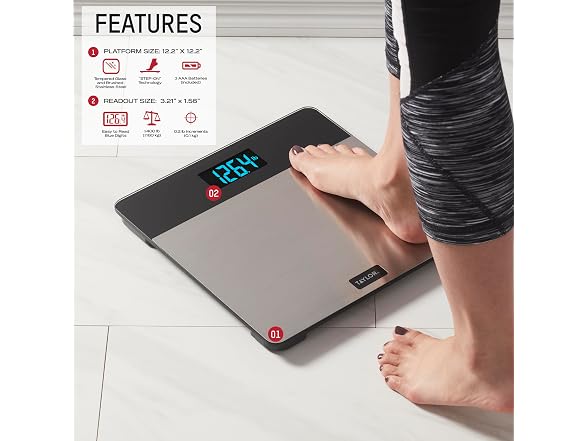Taylor Digital Brushed Stainless Steel Scale
