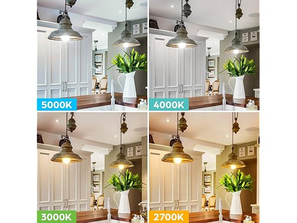 Brightever 12-Pack 5000K LED Light Bulbs