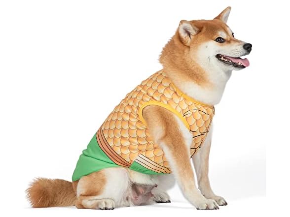 DC Comics Superhero Aquaman Halloween Dog Costume