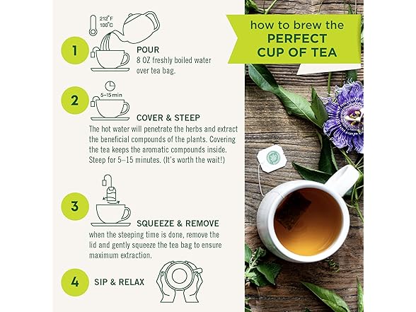 16CT Traditional Medicinals Organic Raspberry Leaf