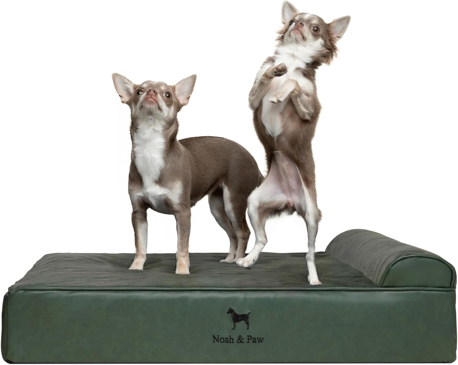 NOAH & PAW Orthopedic Dog Beds- Medium - Gallery 11