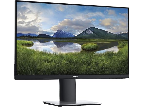 Dell P2419H 23.8" Monitor