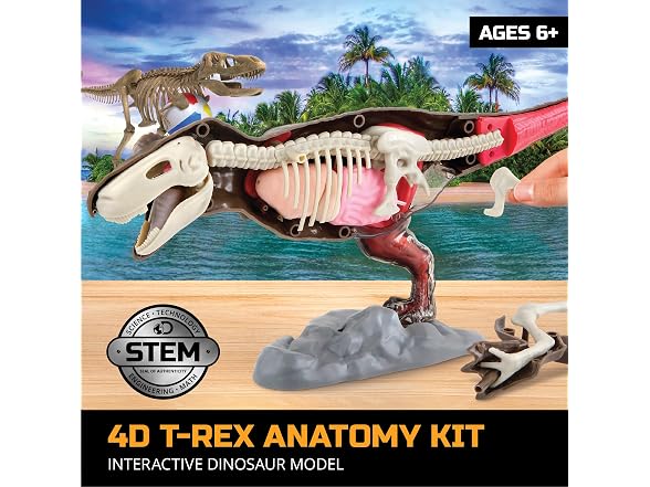 Discovery™ 4D T-Rex Anatomy Kit