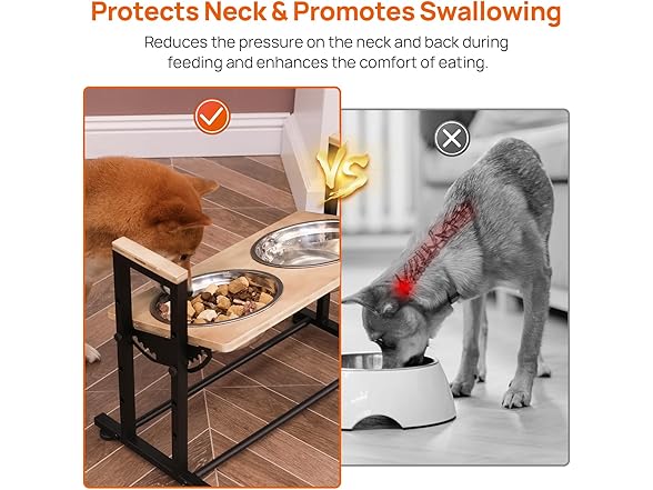 Adjustable Height Pet Feeder Stand with 2 Stainless Steel Bowls