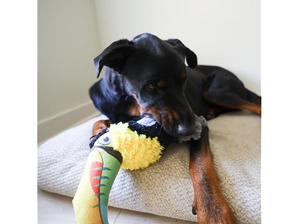 Ruffian Bird Toucan Plush Squeaker Dog Pull Chew Toy