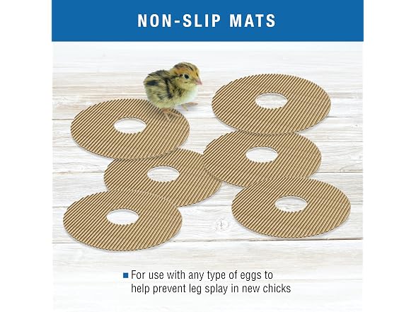 Brinsea Cardboard Hatching Mat for Mini Egg Incubators