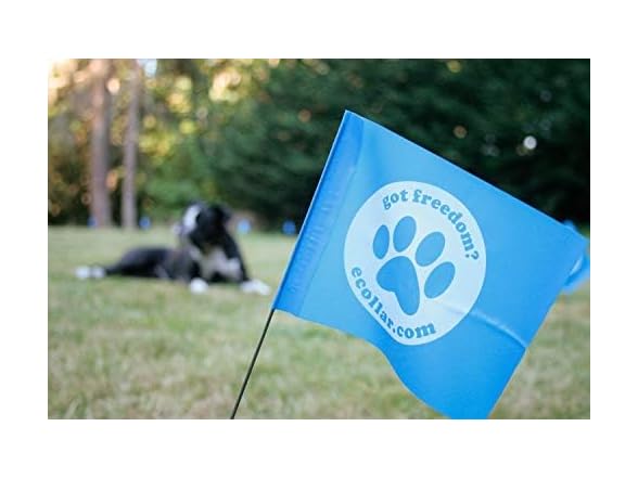 Educator E-Collar Educator FLAGS-50 Boundary