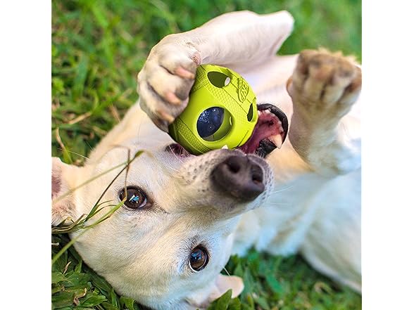 Nerf Dog Bash Ball Dog Toy with Interactive LED