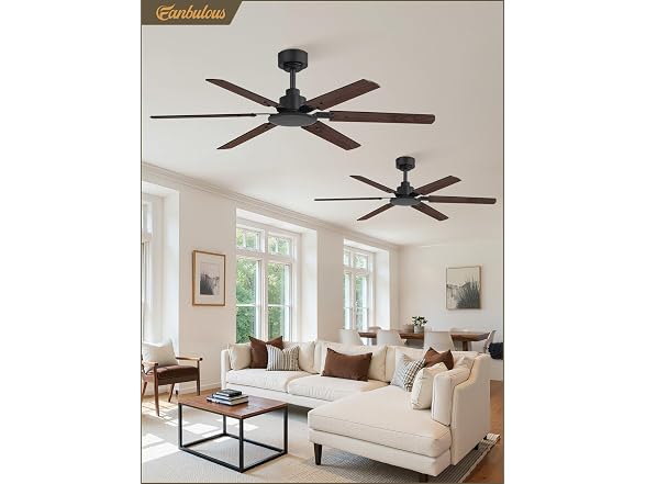Fanbulous Black 48” Ceiling Fan with Lights