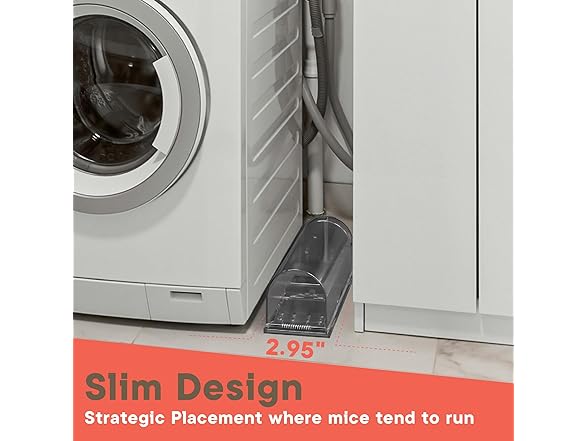 Live Mouse Trap 7.87" Black