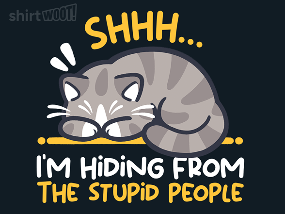 Hiding from the Stupid People