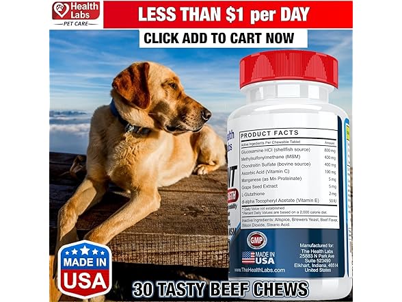The Health Labs - Glucosamine For Dogs