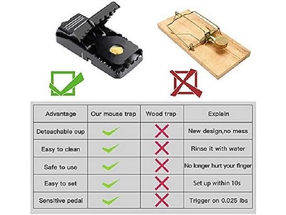 Mouse Trap Indoor 12pk