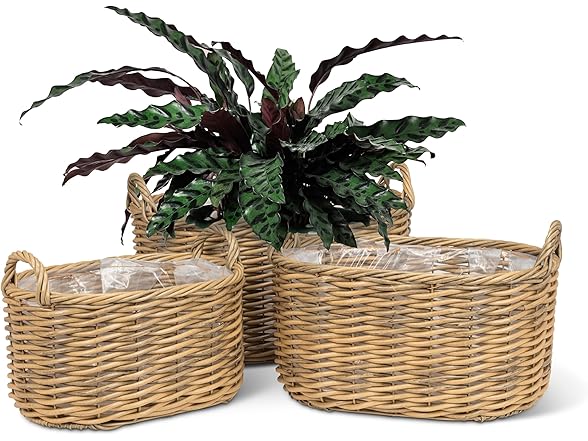 Abbott Collection Large Oval Woven Baskets