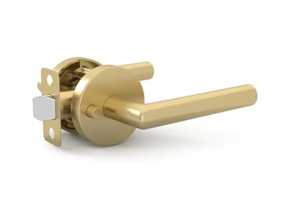 Satin Brass Privacy