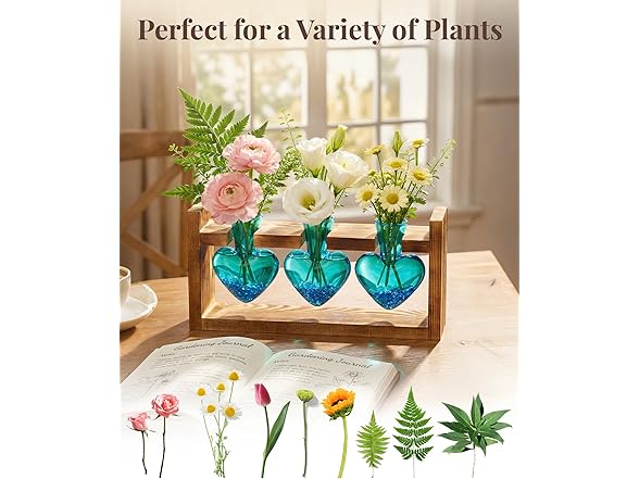 3 Bulb Glass Plant Propagation Station