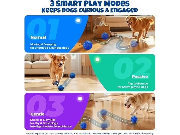 Fsitego Dog Balls: Interactive Dog Ball Auto Rolling