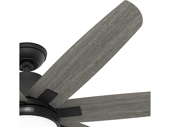 Hunter Fan 60" w/ Light Kit and 7-Blades