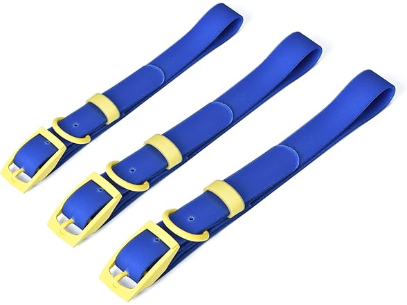 Wags & Wiggles Waterproof PVC Dog Collar