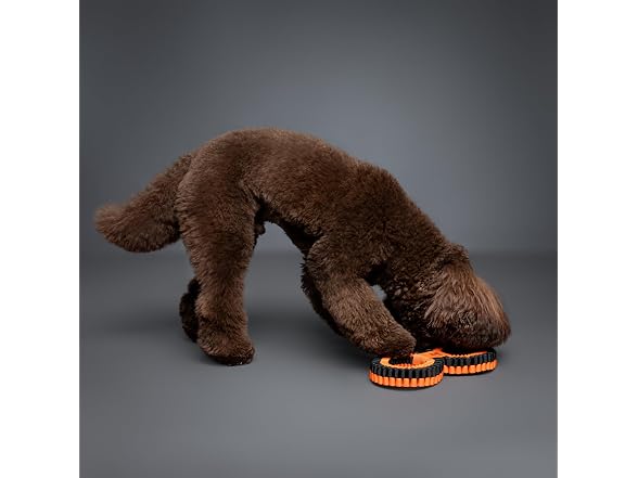NOAH & PAW Luxury Dog Toy, Dog Rope Toy- Double Ring, Black