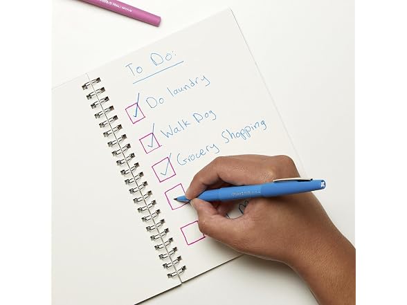 Paper Mate Pens Variety Pack, 28Pk