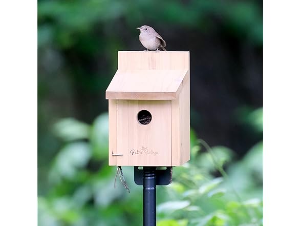 Nature's Way Cedar Box Wren House