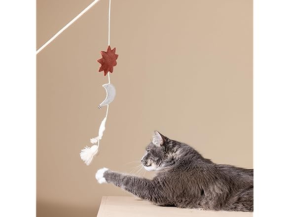 Fringe Studio Happy Skies Teaser Cat Toy