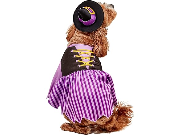Rubies Witch Pet Costume for Dogs or Cats