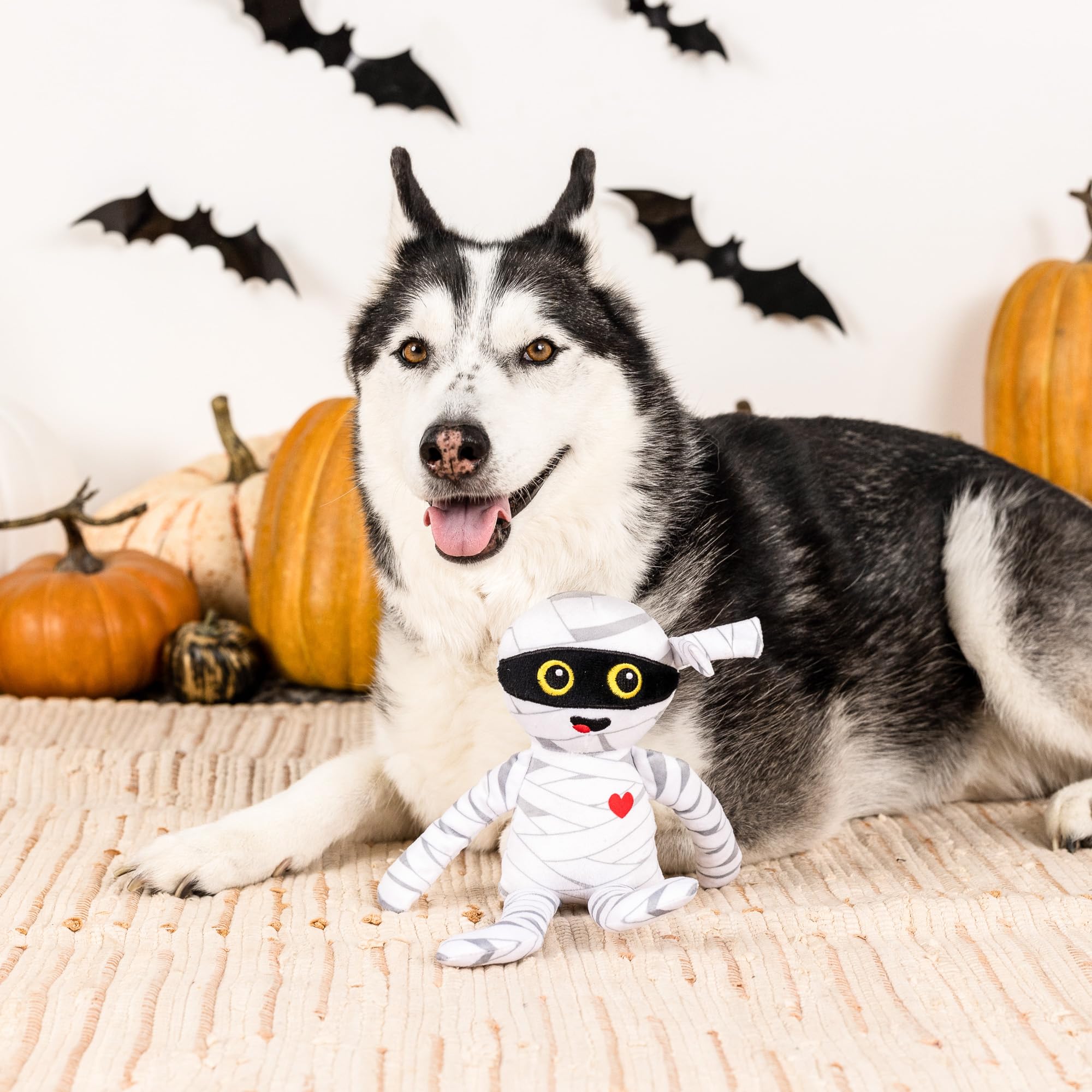 Fringe Studio Plush Dog Toy, OH My Gauze - Gallery 6