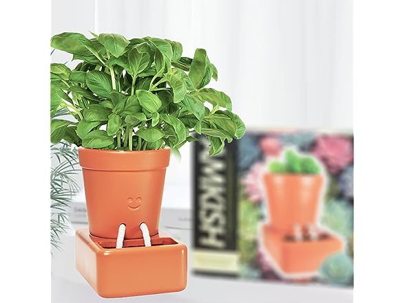 Amkish Self Watering Smiley Face Planter