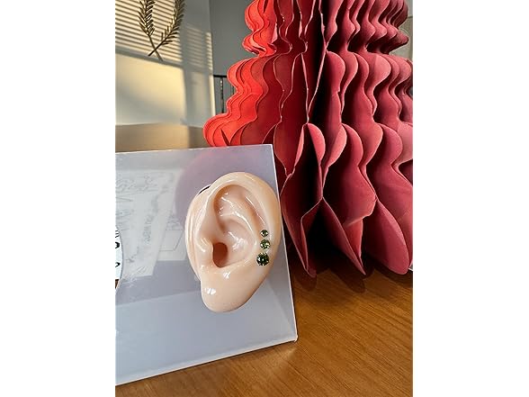 J.aey Titanium Earrings