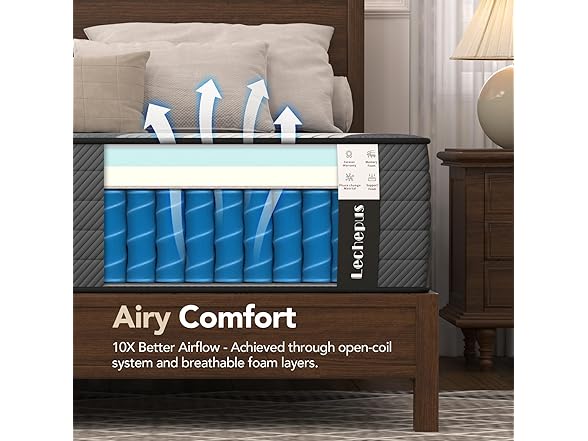 Lechepussleep Queen Mattress 10 Inch