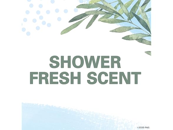 Secret Antiperspirant and Deodorant Women 24hr