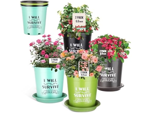 NIKONIKO 8 Pack 6.5 Inch Plant pots