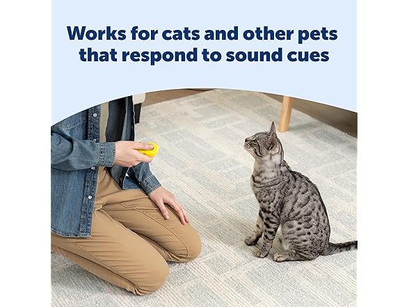 PetSafe Clik-R Training Tool Clicker Trainer