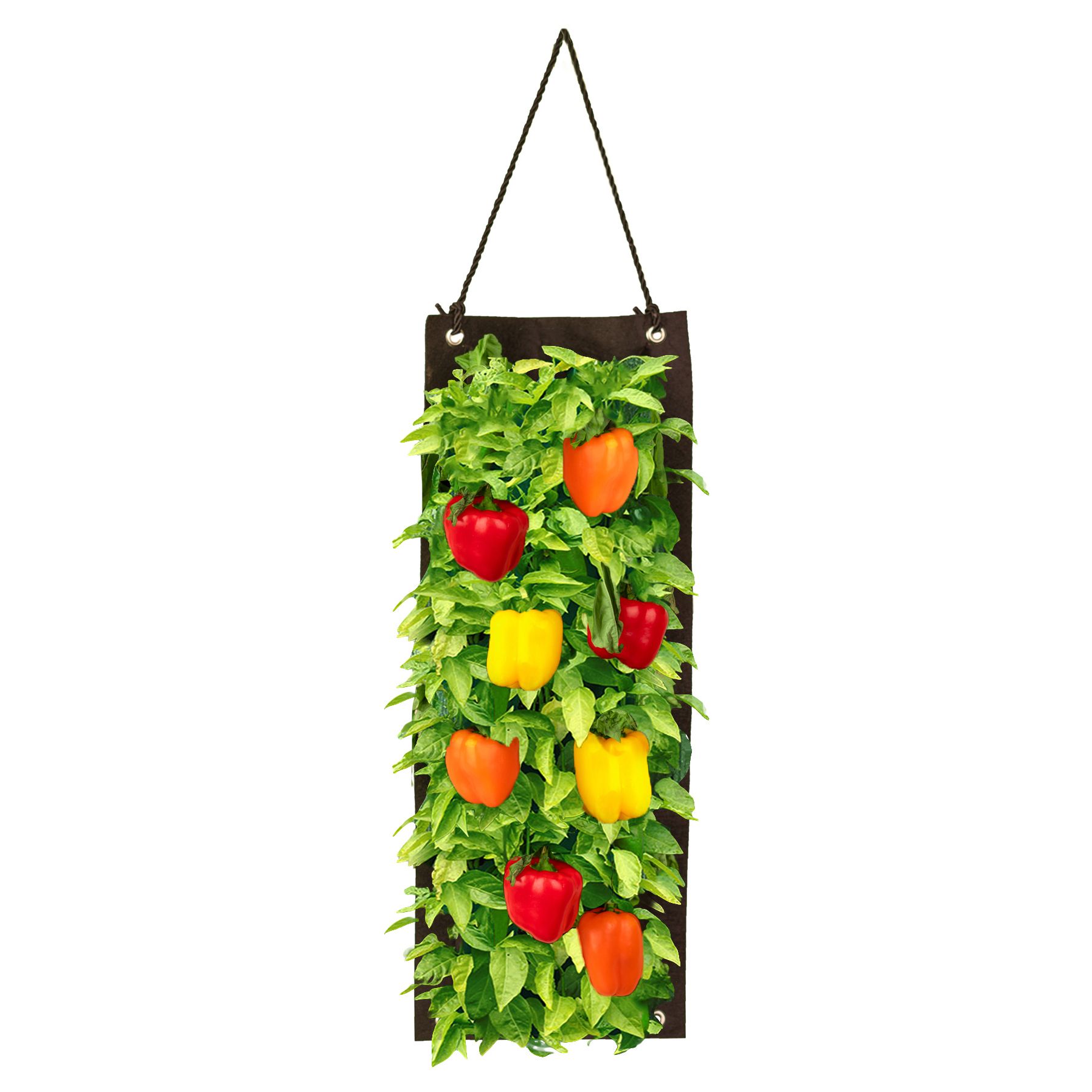 Organic Hanging Planter Bag Kit - Gallery 22