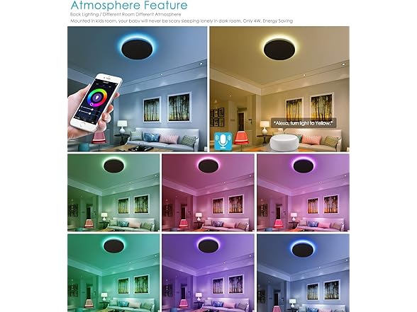 TALOYA Smart Ceiling Light Fixture