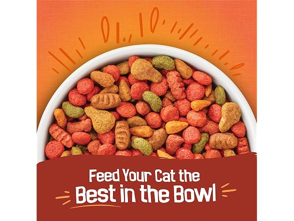 Tender Crunchy Dry Cat Food 16lb