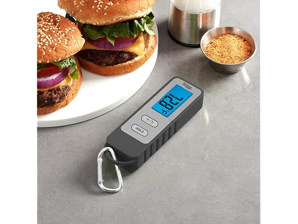 Taylor TruTemp Compact Digital Folding Meat Thermometer
