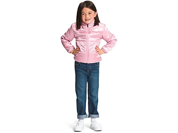 The North Face Reversible Jacket