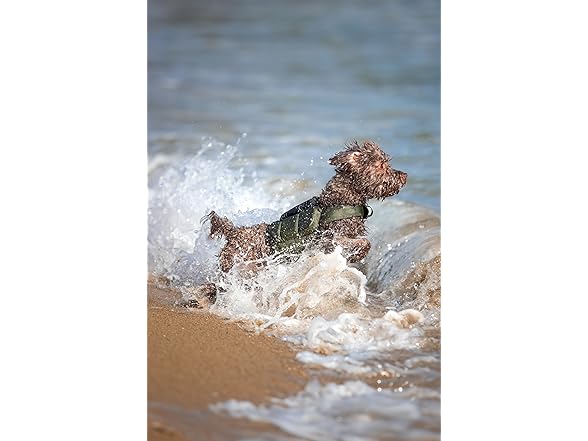 NOAH & PAW Dog Life Jacket- XSmall