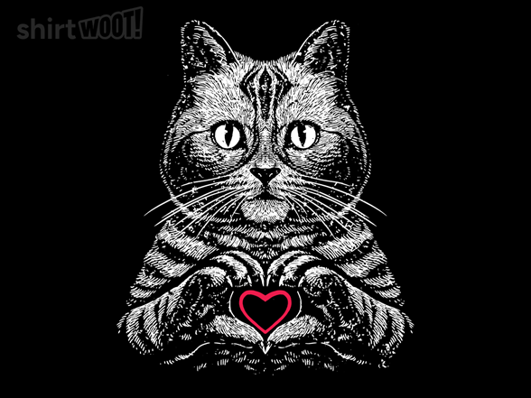American Shorthair True Affection