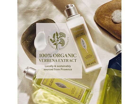 (2 Pack) L'Occitane Verbena Body Milk Lotion, 8.4 oz