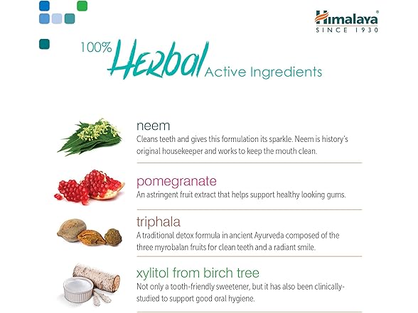 Himalaya Himalaya Mint Toothpaste, 5.29oz